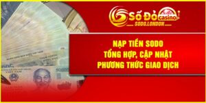 Nạp Tiền SODO – Tổng Hợp, Cập Nhật Phương Thức Giao Dịch